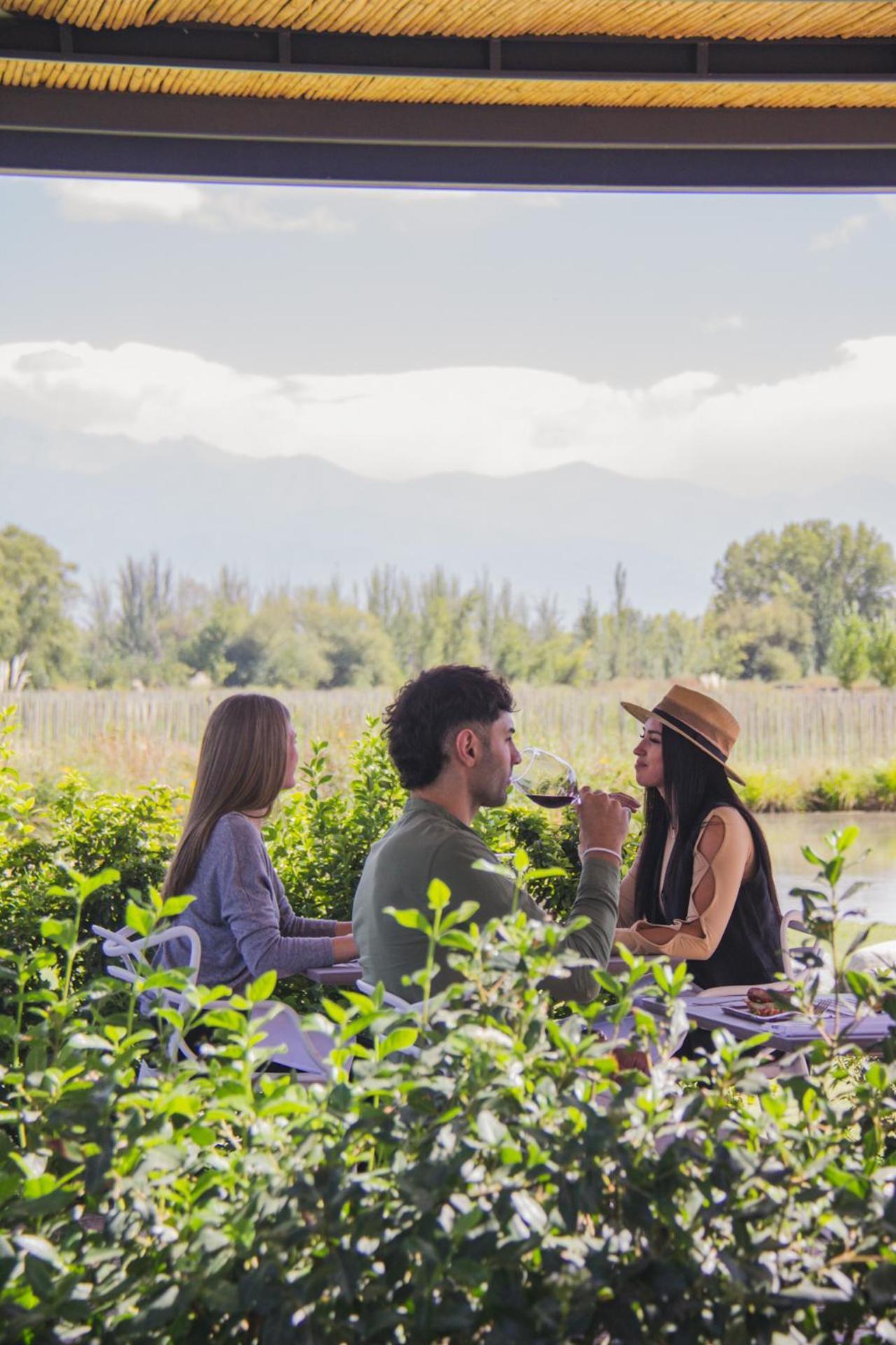 Postales Boutique Winery Hotel - Valle De Uco Colonia Las Rosas Dış mekan fotoğraf