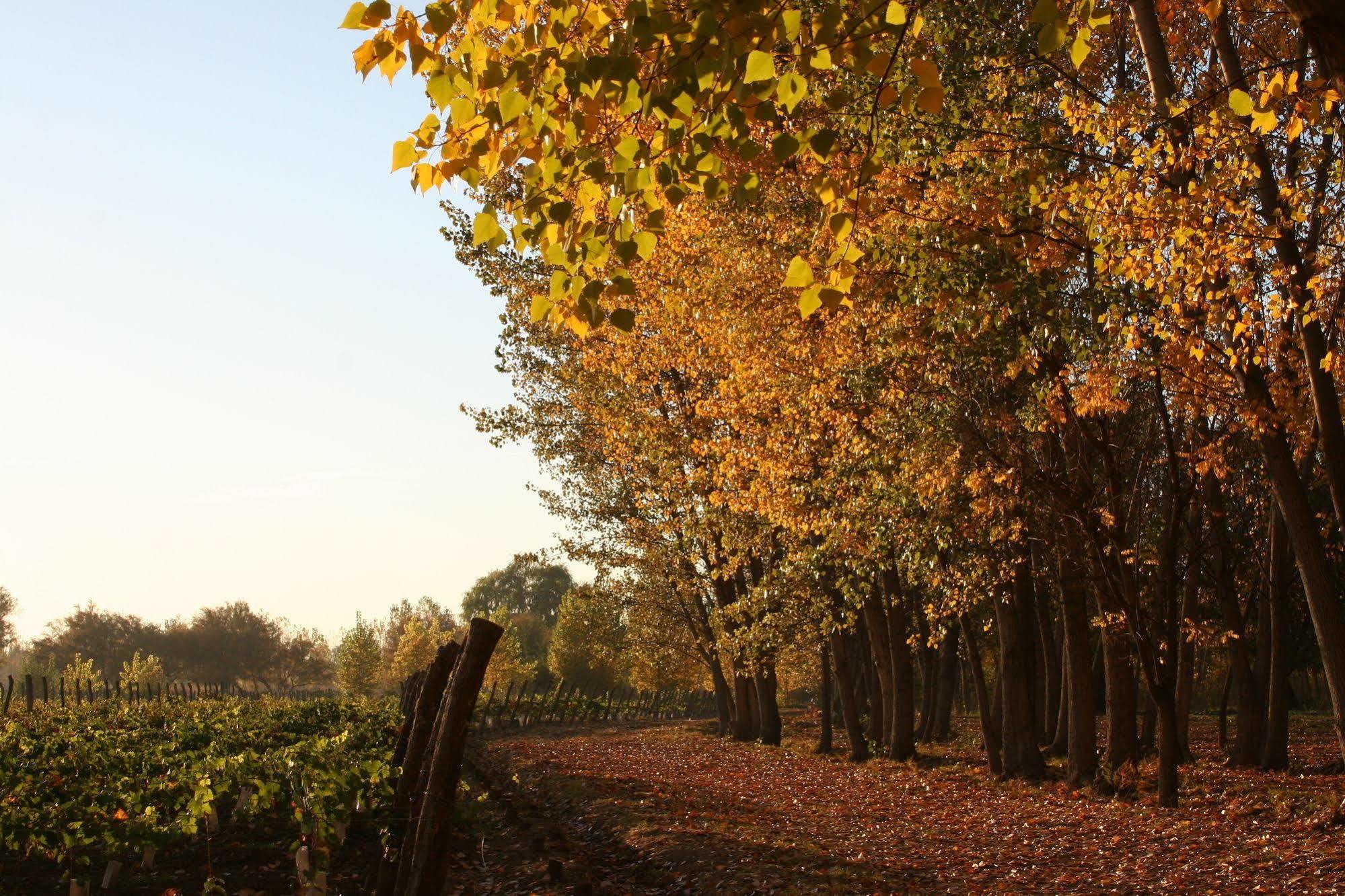 Postales Boutique Winery Hotel - Valle De Uco Colonia Las Rosas Dış mekan fotoğraf