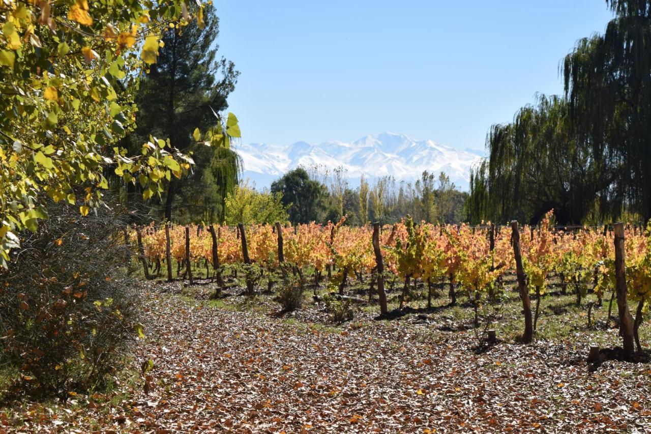 Postales Boutique Winery Hotel - Valle De Uco Colonia Las Rosas Dış mekan fotoğraf