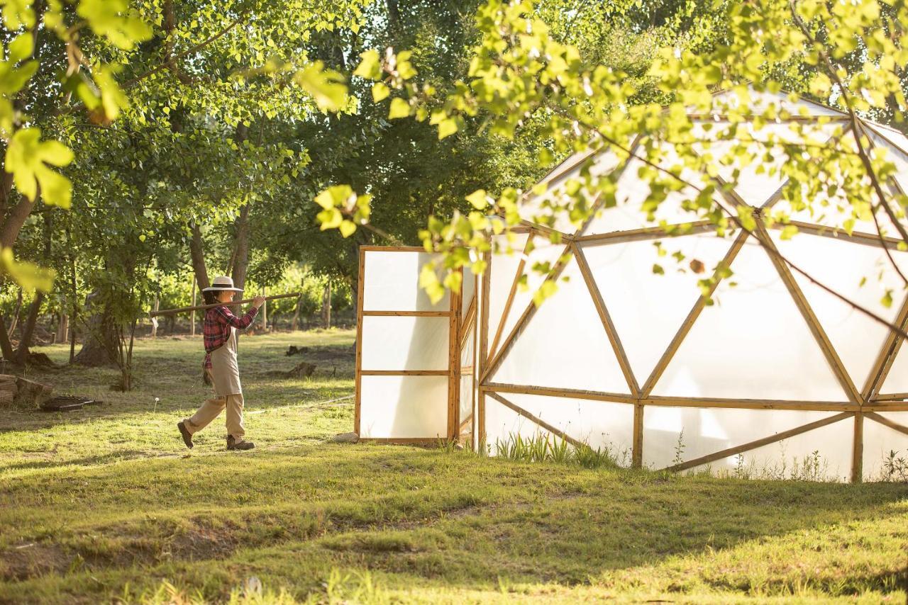 Postales Boutique Winery Hotel - Valle De Uco Colonia Las Rosas Dış mekan fotoğraf